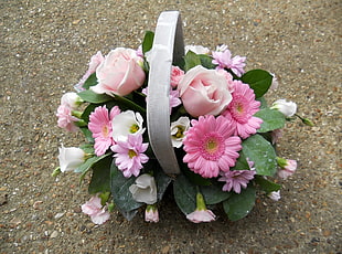 pink and white petaled flowers in gray container