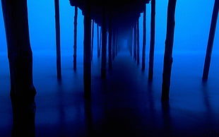 Dark blue,  Support,  Bridge,  Mysterious HD wallpaper
