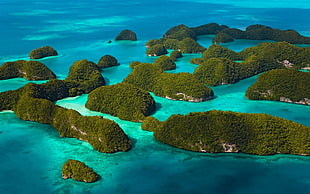aerial photo of islet HD wallpaper