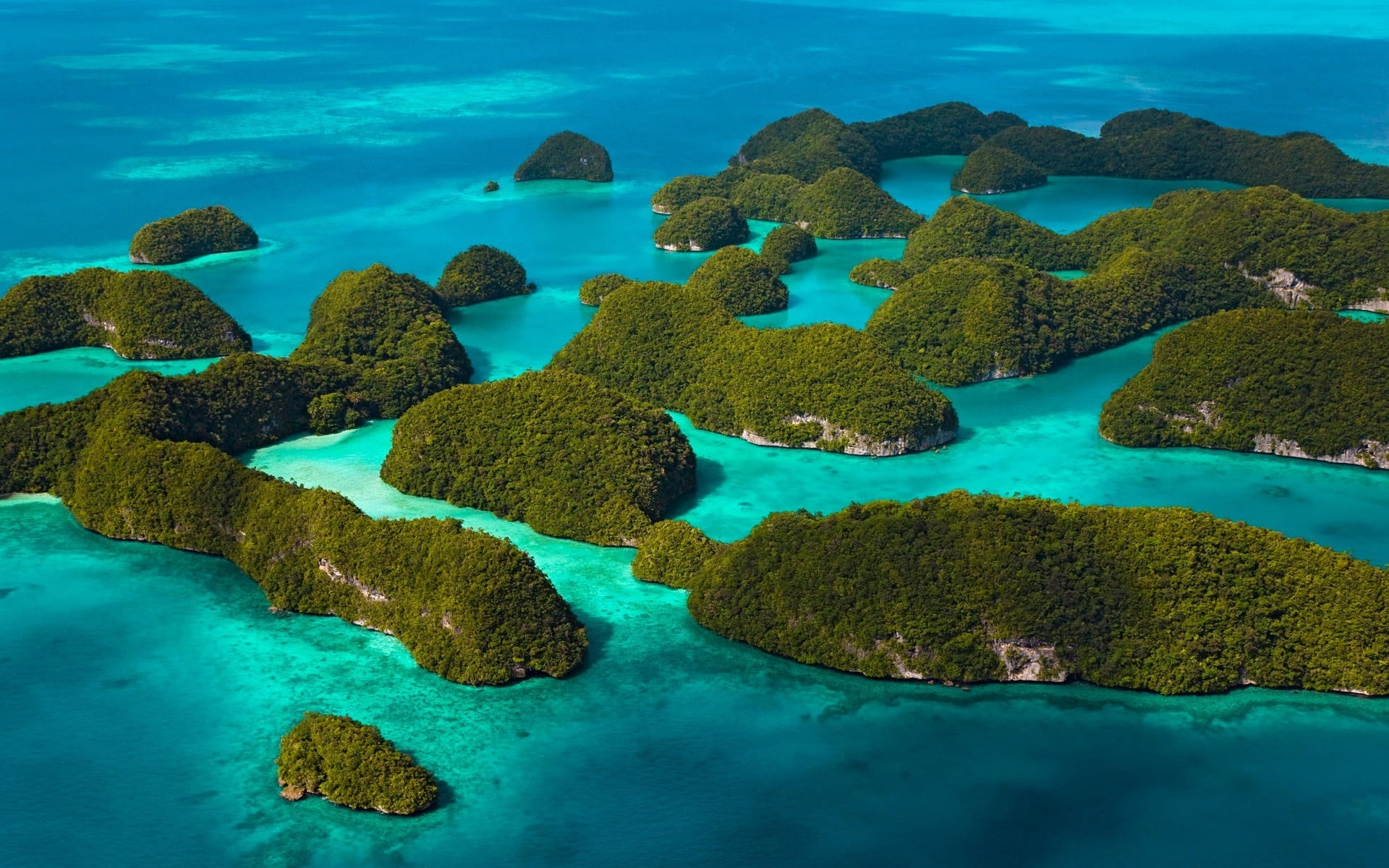 aerial photo of islet