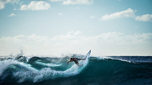 sea, wave, surfer, sport HD wallpaper