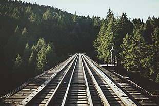 grey railway, nature, forest, railway, filter HD wallpaper