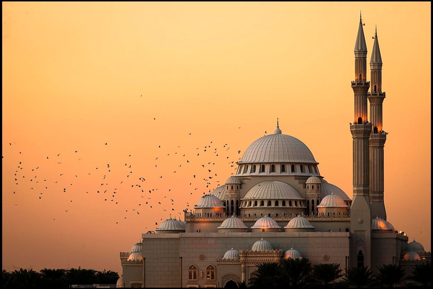 white and brown mosque, photography, nature, landscape, mosque