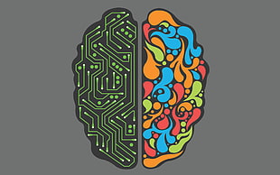 multicolored human brain illustration