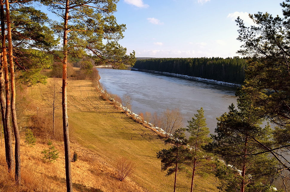 river and trees, nature, river, landscape HD wallpaper