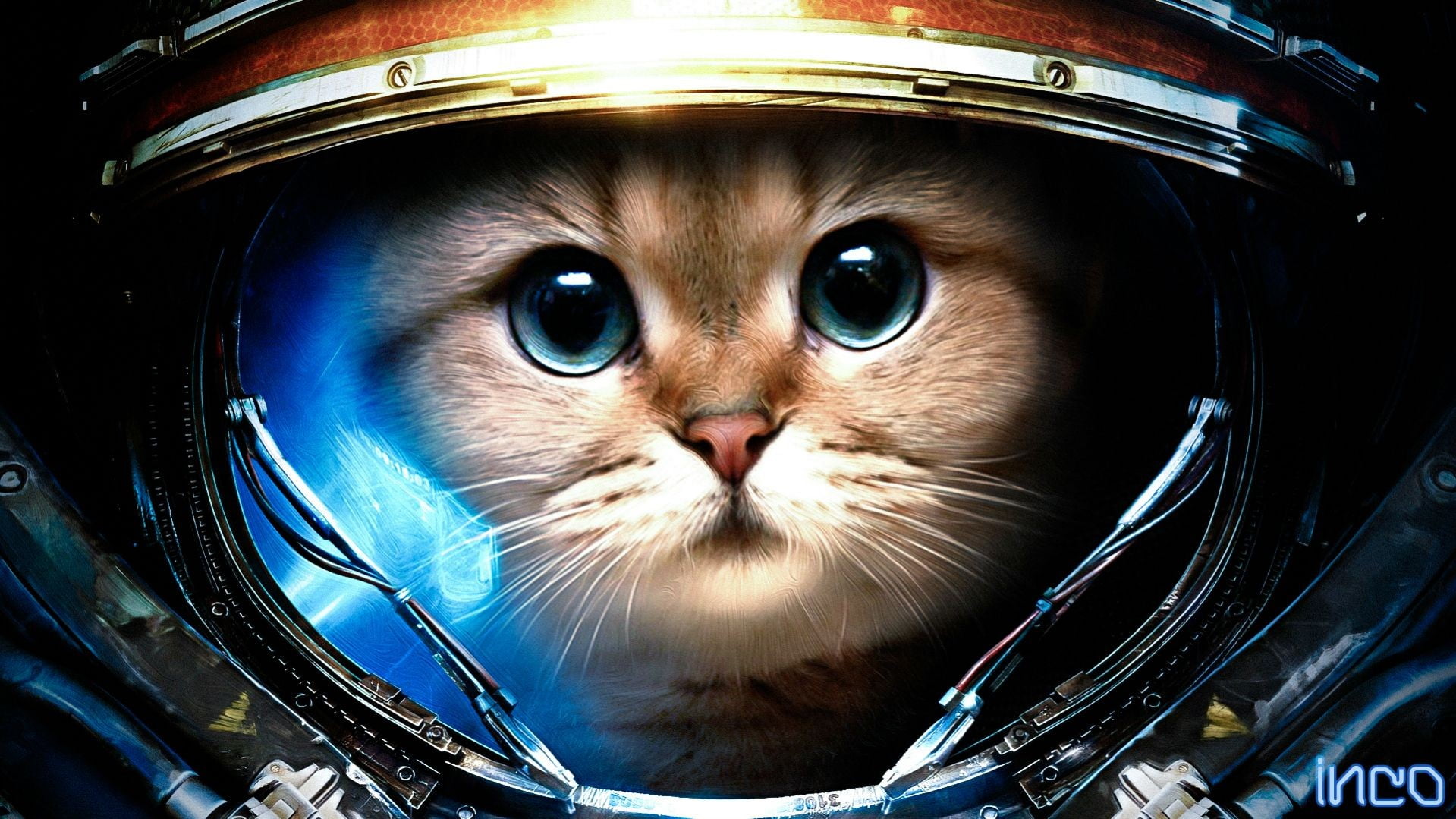 Astronaut cat, cat, Starcraft II HD wallpaper | Wallpaper Flare