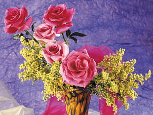 Roses,  Mimosas,  Vase HD wallpaper