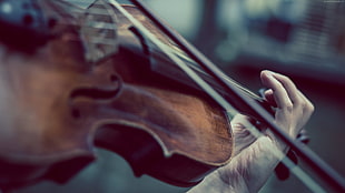 selective focus photography of person playing violin HD wallpaper