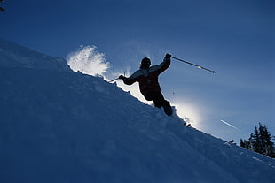 black and white short coated dog, skiing, snow, ridges