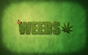 Weeds text HD wallpaper