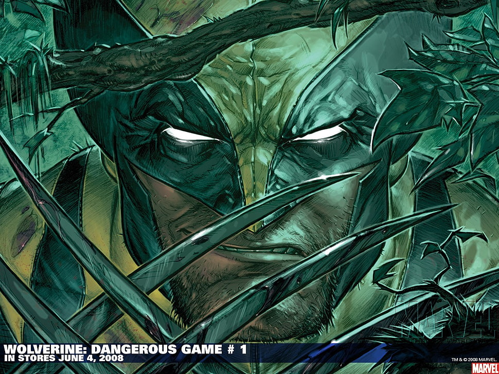Wolverine digital wallpaper, Wolverine, X-Men HD wallpaper