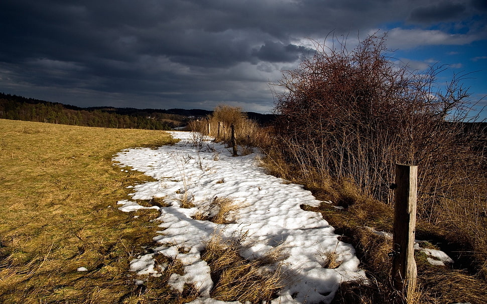 snow covered field HD wallpaper