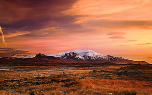 brown grass field, landscape, Iceland, mountains, sunset