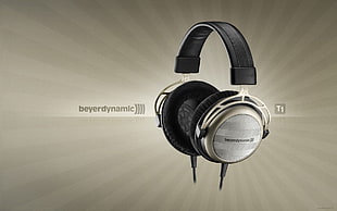 gray Beyer Dynamic corded headphones HD wallpaper