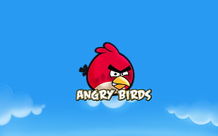 Angry Birds wallpaper HD wallpaper
