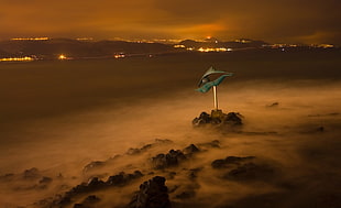 body of water during night time, las canteras