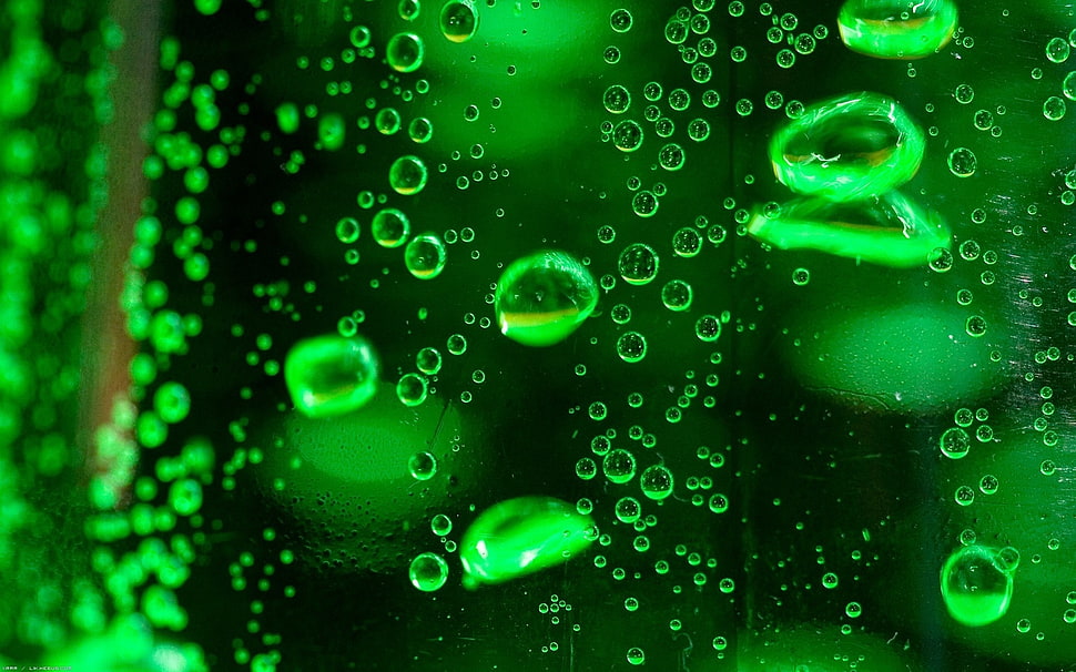Droplet,  Surface,  Fluid HD wallpaper