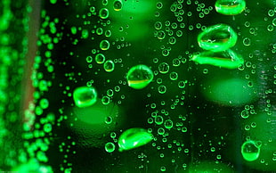 Droplet,  Surface,  Fluid HD wallpaper