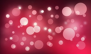 photography of pink boke lights HD wallpaper