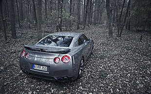 gray coupe on forest HD wallpaper