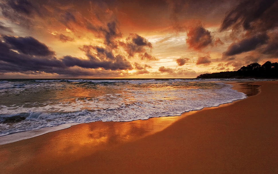 sea and seashore, sunset, sea, beach, sky HD wallpaper