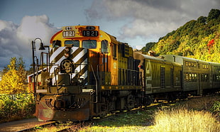 brown and black train, train, railway, machine, technology