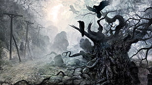 murder of crows on leafless tree digital wallpaper, Terror, crow HD wallpaper