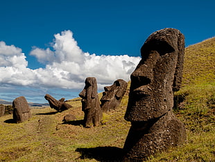 Moai Statues at daytime HD wallpaper