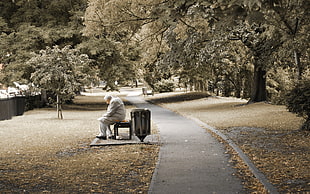 man sitting on bench near tree and pathway on part