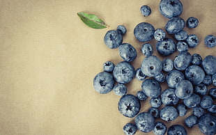 blueberry HD wallpaper