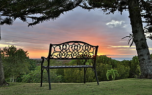 black ornate cast iron bench on green grass land
