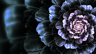 purple and white flower
