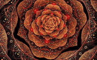 black and brown flower digital wallpaper