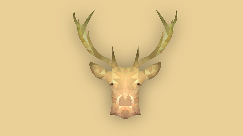 white deer head decor, animals, simple, deer, stags HD wallpaper