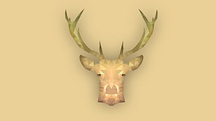 white deer head decor, animals, simple, deer, stags