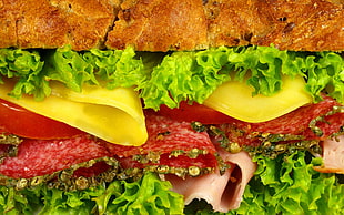 cheese burger with beacon and litus HD wallpaper