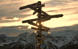 brown wooden road arrow signage HD wallpaper
