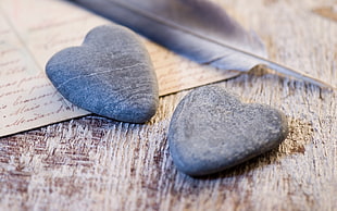 two heart-shaped gray stones on wooden surface beside feather