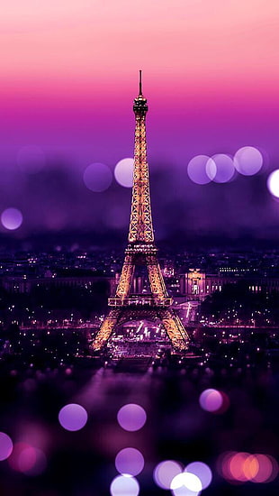 Eiffel Tower during night time