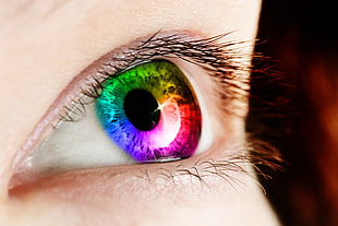 green, yellow, blue, purple, and pink colored eye