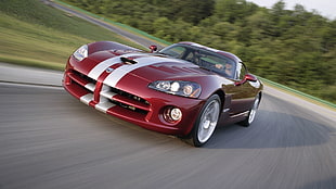 red and white supercar, car, Dodge, Dodge Viper, red cars