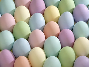closeup photo of multi-colored eggs