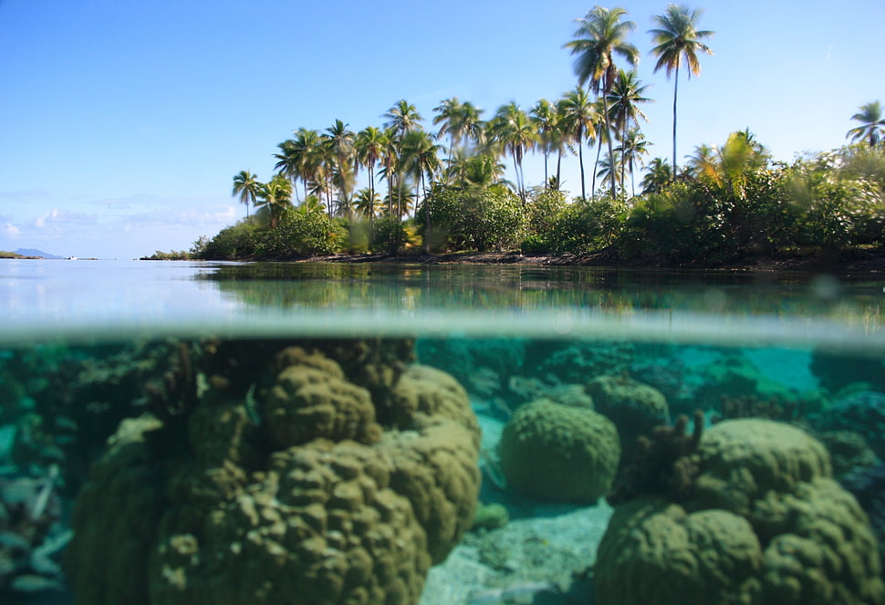 black rock formations, tropical, water, split view HD wallpaper