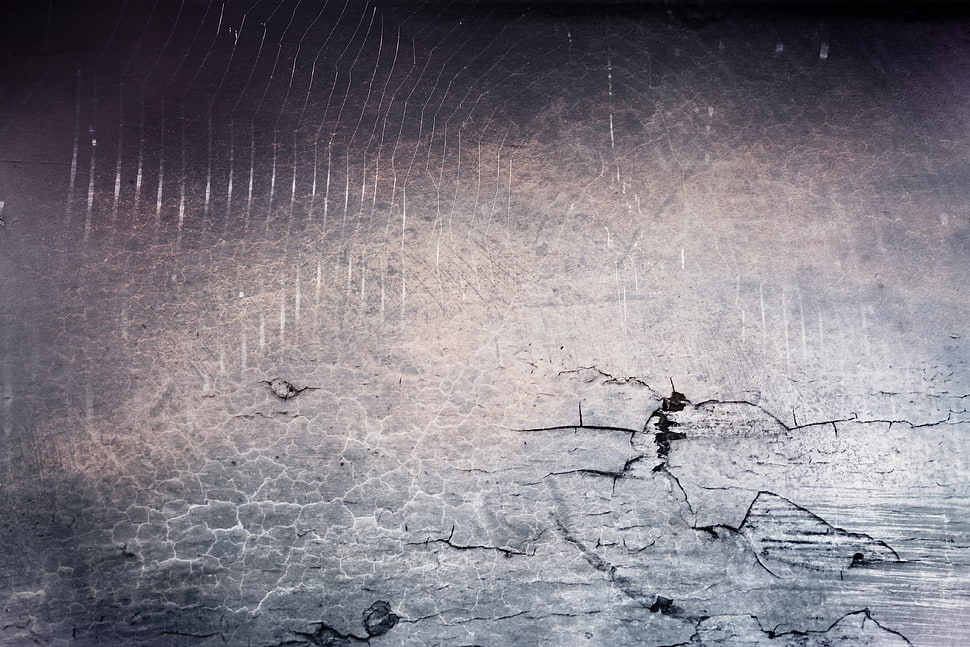 Art,  Texture,  Wall,  Spiders HD wallpaper