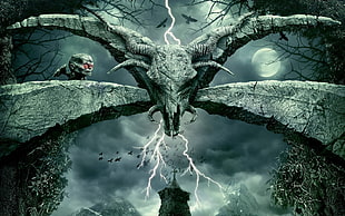gray skull game poster