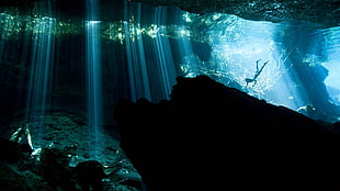 underwater, divers, water HD wallpaper