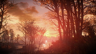 silhouette of tree photography, The Witcher 3: Wild Hunt, video games HD wallpaper