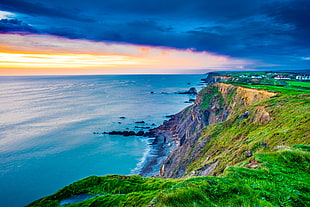 green grass cliff beside body of water, bude, united kingdom