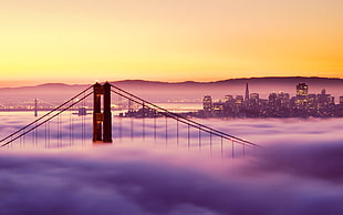 Golden State Bridge, California HD wallpaper