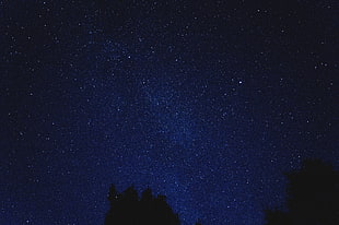 clear sky during nighttime HD wallpaper